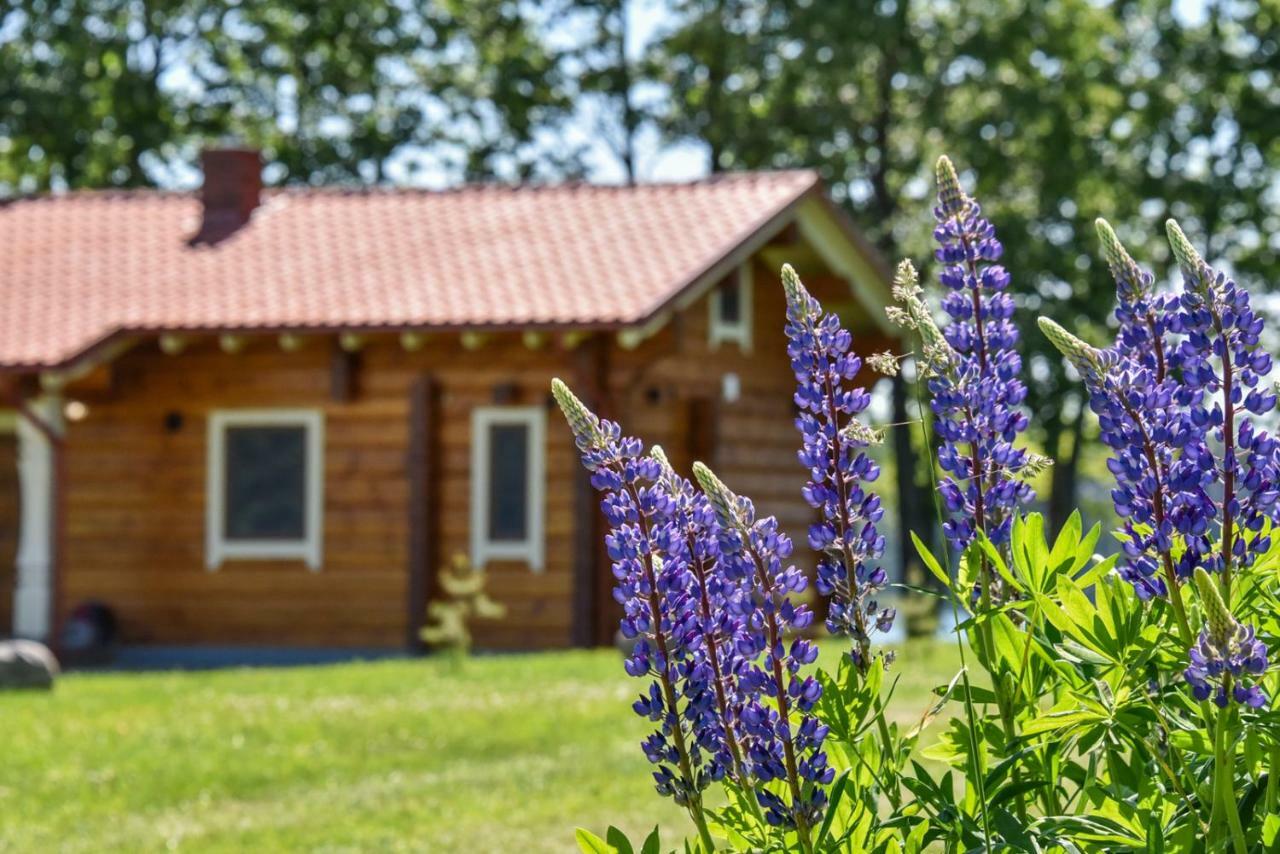 Meku Vila Deguciai  Экстерьер фото
